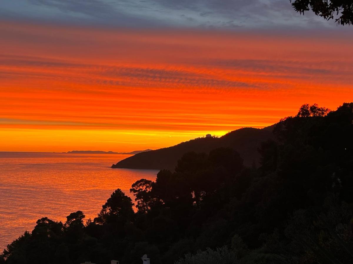 Magnifique Villa Neuve Vue Mer Cavalaire-sur-Mer Exterior foto